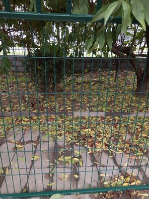 果园围栏网 守护丰收的专属卫士